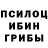 Галлюциногенные грибы MAGIC MUSHROOMS Asket bb