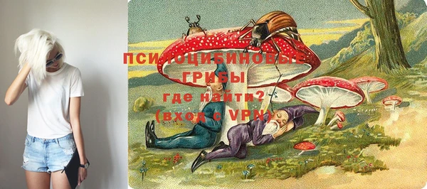 spice Алзамай