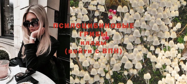 первитин Алексин