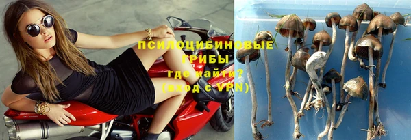 spice Алзамай