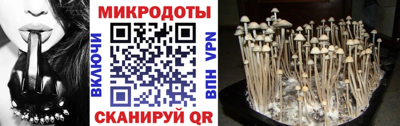 Галлюциногенные грибы прущие грибы  Дзержинский 